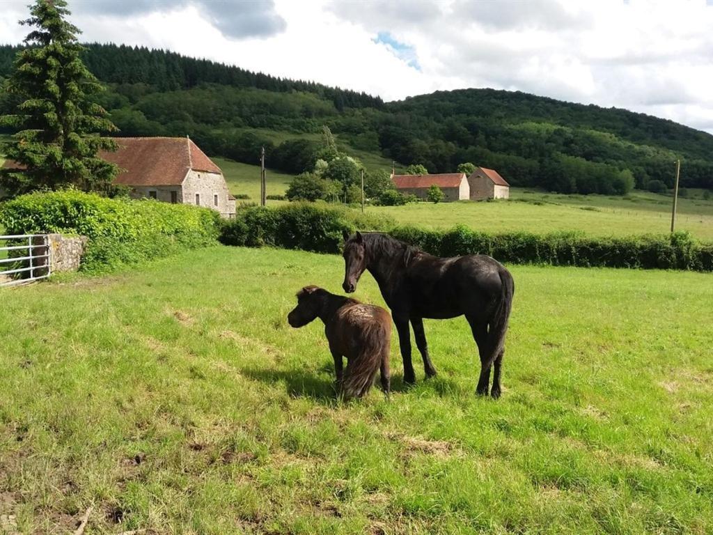 Gite Les Aubues Lormes Eksteriør billede